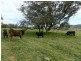 Lot 84 Greenmantle Road, Bigga NSW 2583