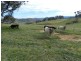 Lot 84 Greenmantle Road, Bigga NSW 2583