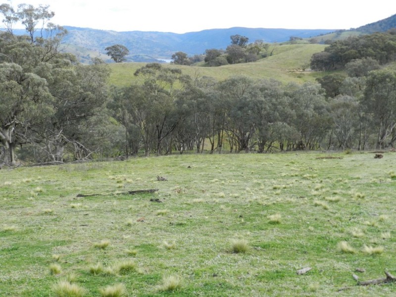 Lot 84 Greenmantle Road, Bigga NSW 2583