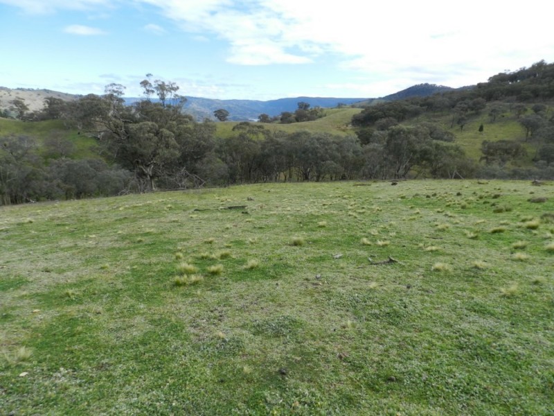 Lot 84 Greenmantle Road, Bigga NSW 2583