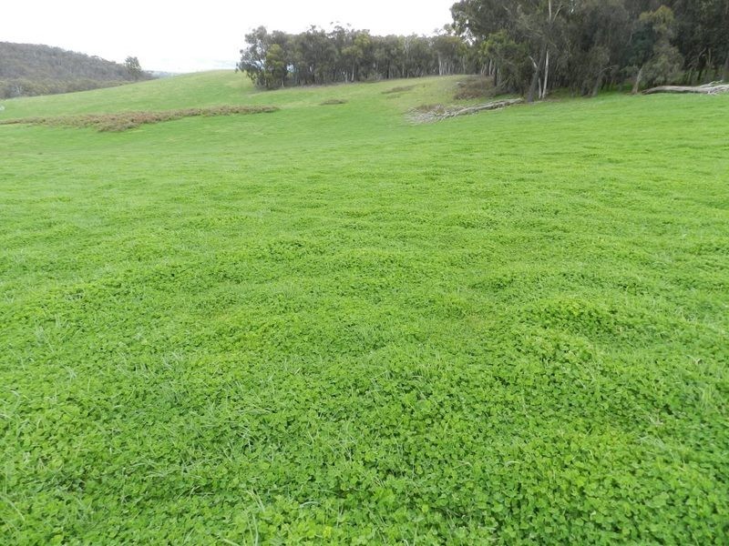 Lot 7  Gurrundah Road, Goulburn NSW 2580