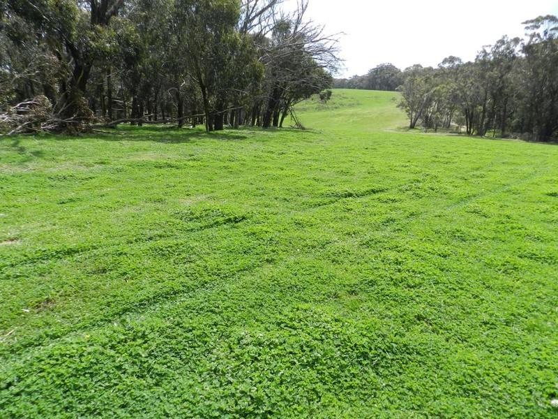Lot 7  Gurrundah Road, Goulburn NSW 2580