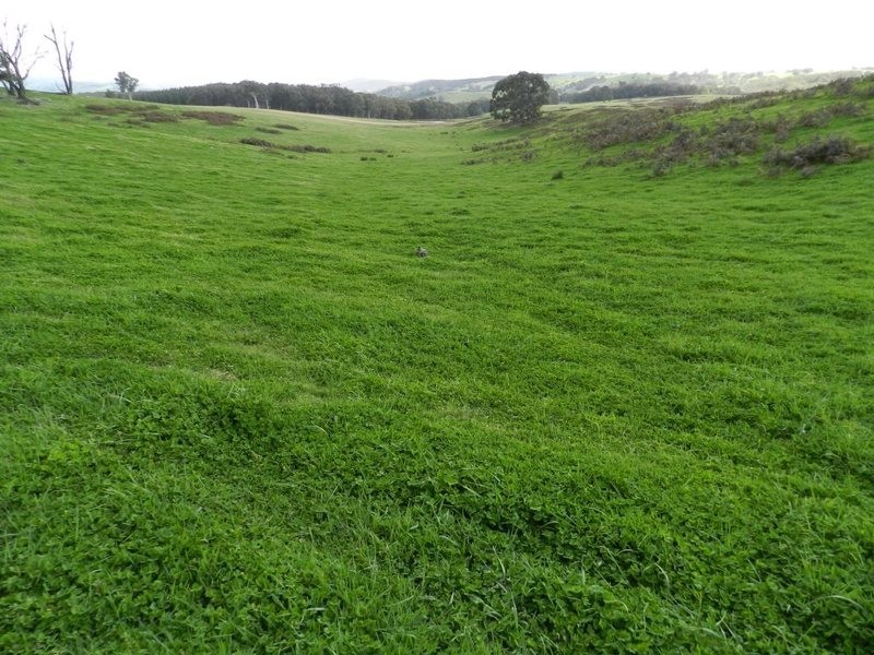 Lot 7  Gurrundah Road, Goulburn NSW 2580