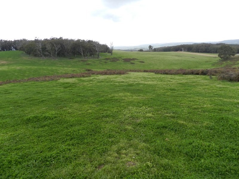 Lot 7  Gurrundah Road, Goulburn NSW 2580
