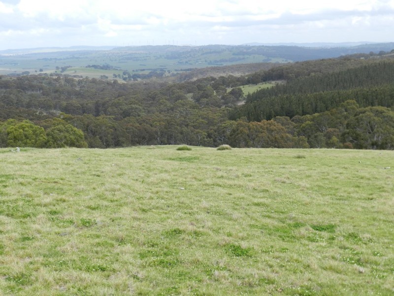 Lot 7  Gurrundah Road, Goulburn NSW 2580