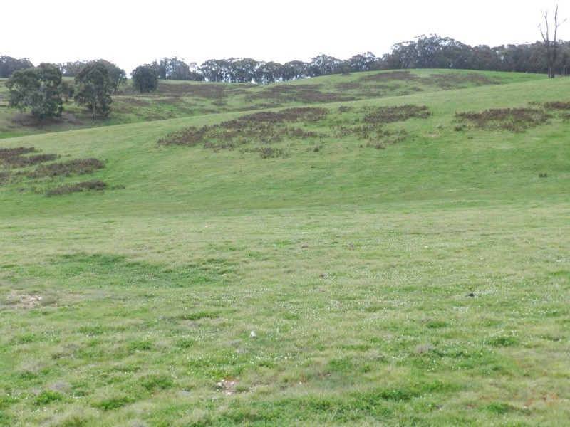 Lot 7  Gurrundah Road, Goulburn NSW 2580