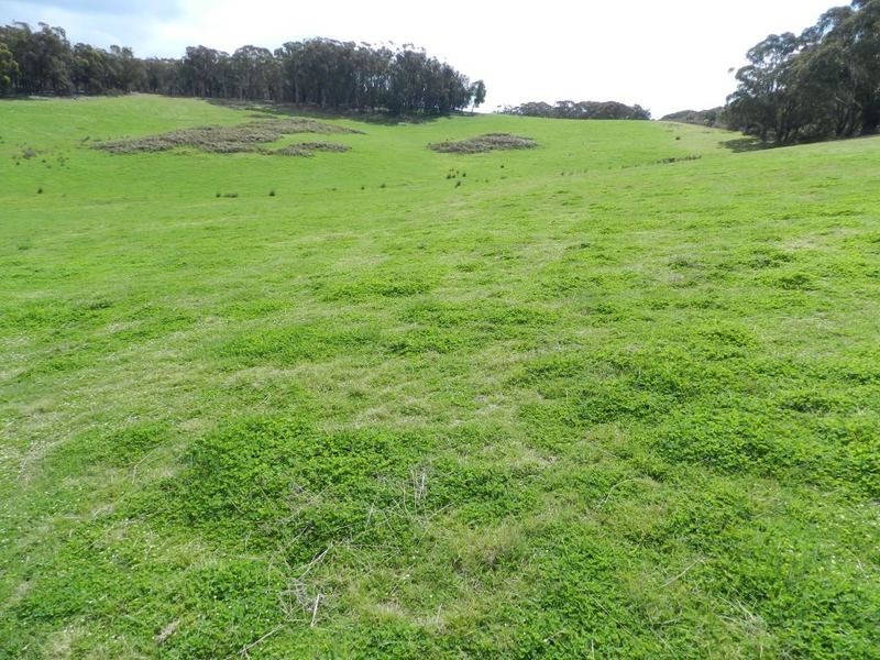 Lot 7  Gurrundah Road, Goulburn NSW 2580