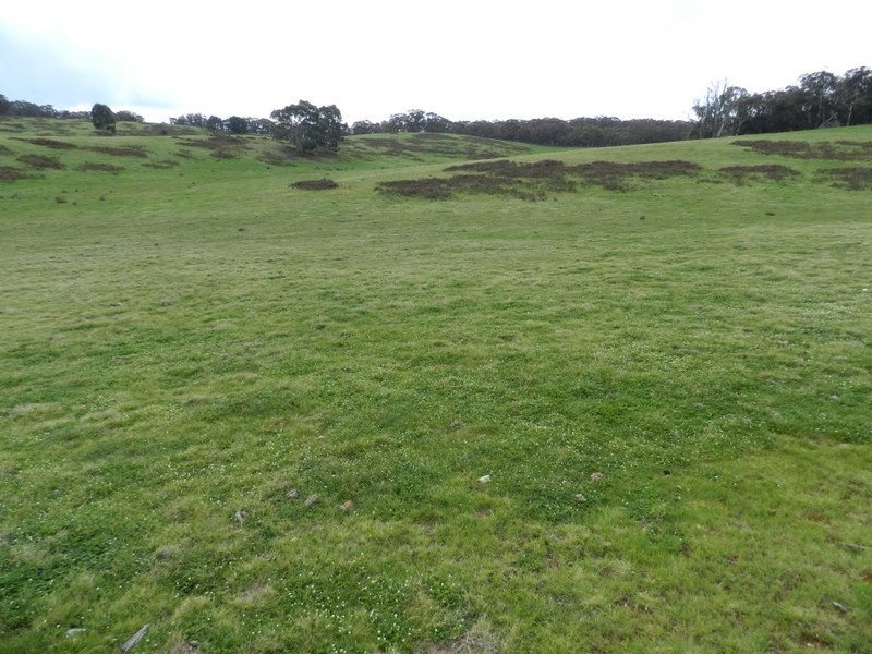 Lot 7  Gurrundah Road, Goulburn NSW 2580