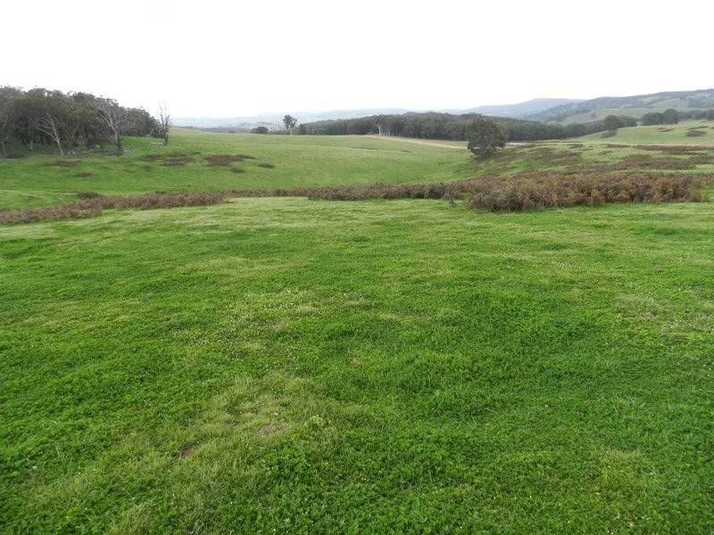 Lot 7  Gurrundah Road, Goulburn NSW 2580
