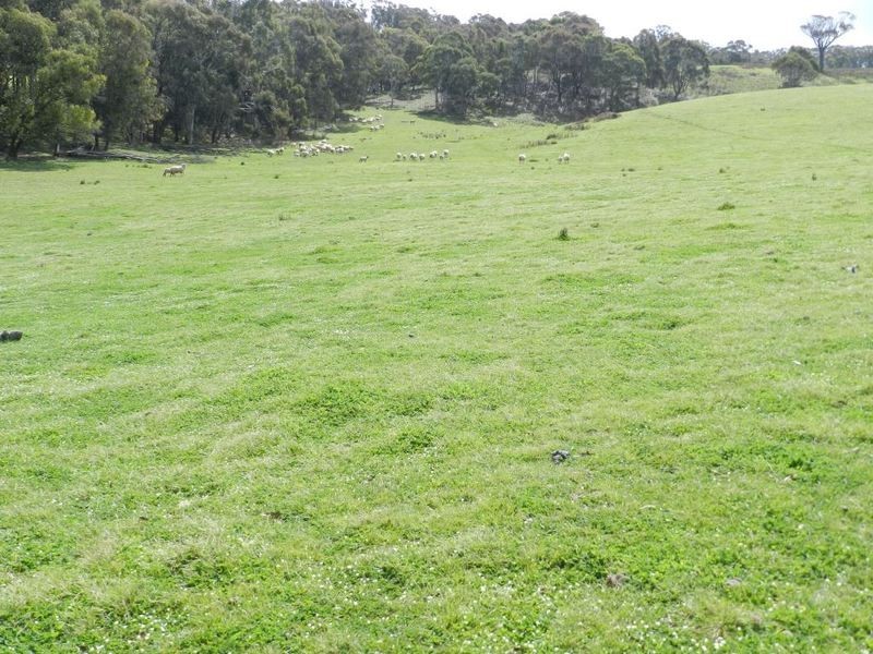 Lot 8 Gurrundah Road, Goulburn NSW 2580