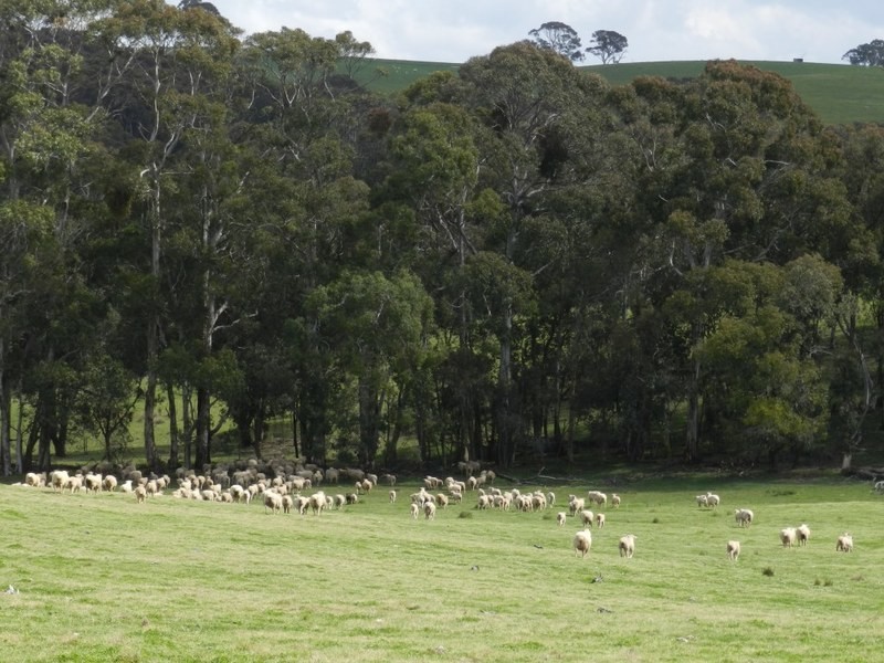 Lot 8 Gurrundah Road, Goulburn NSW 2580