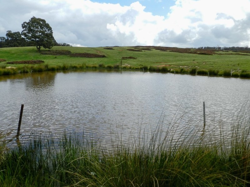 Lot 8 Gurrundah Road, Goulburn NSW 2580