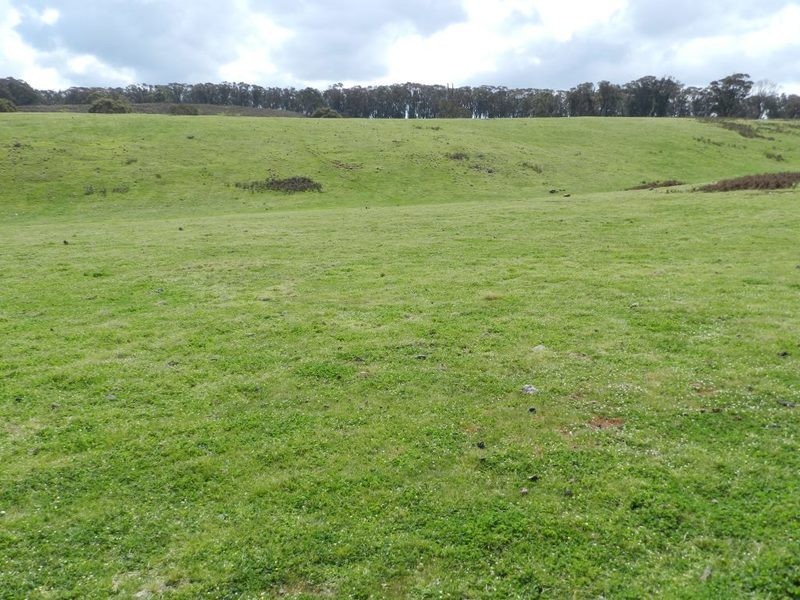Lot 8 Gurrundah Road, Goulburn NSW 2580