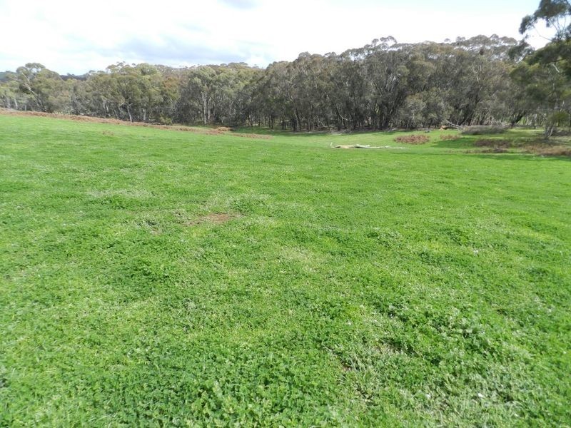 Lot 8 Gurrundah Road, Goulburn NSW 2580
