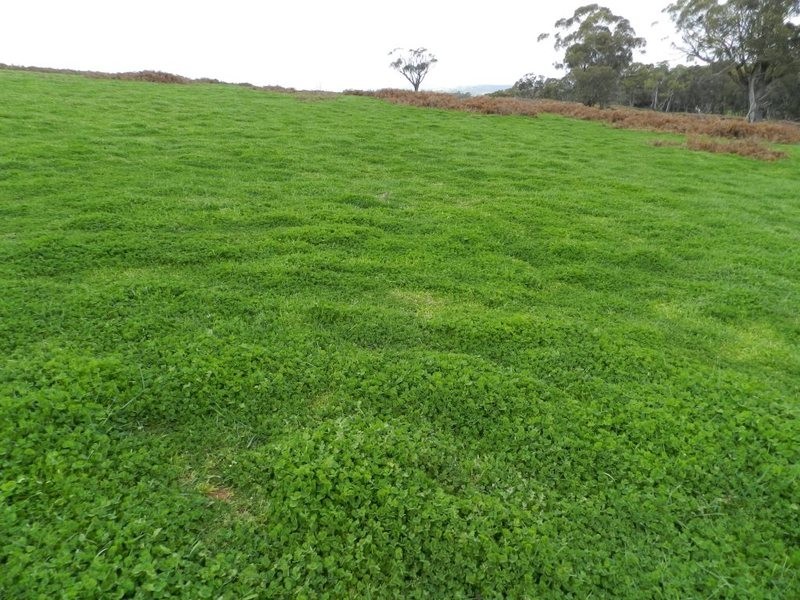 Lot 8 Gurrundah Road, Goulburn NSW 2580