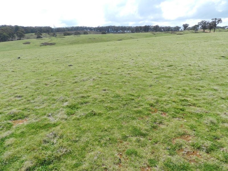 Lot 8 Gurrundah Road, Goulburn NSW 2580