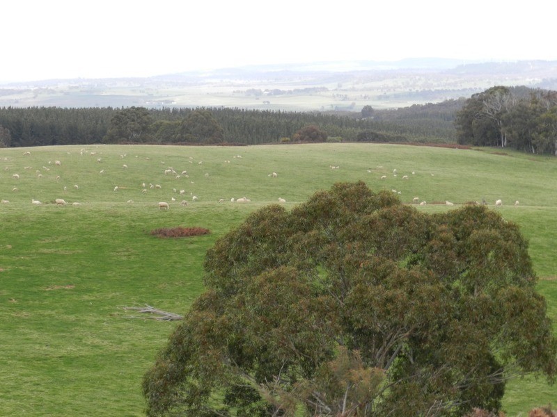 Lot 8 Gurrundah Road, Goulburn NSW 2580
