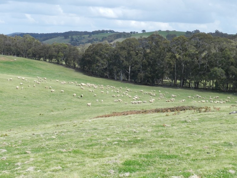 Lot 8 Gurrundah Road, Goulburn NSW 2580