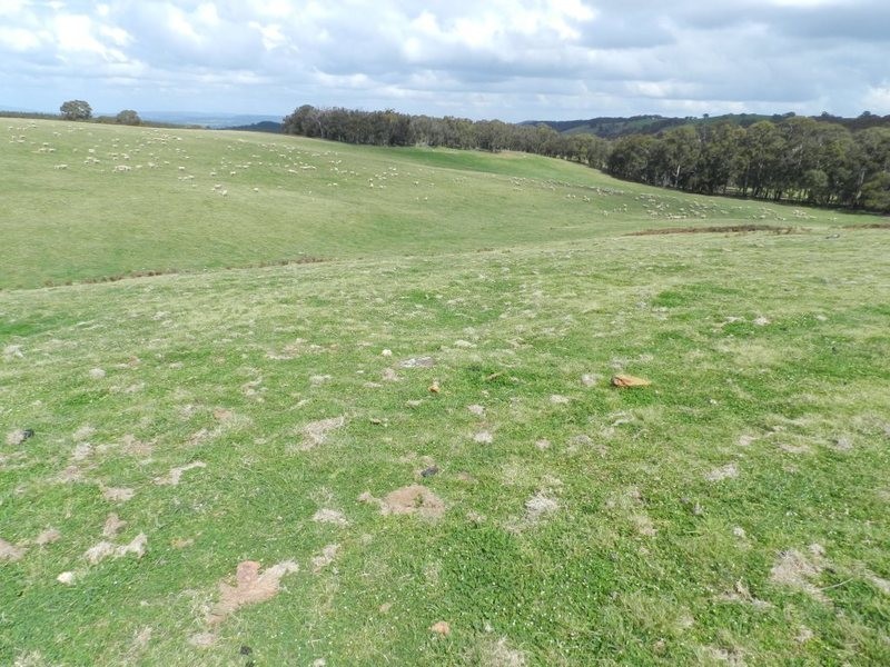 Lot 8 Gurrundah Road, Goulburn NSW 2580