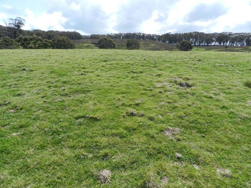 Lot 8 Gurrundah Road, Goulburn NSW 2580