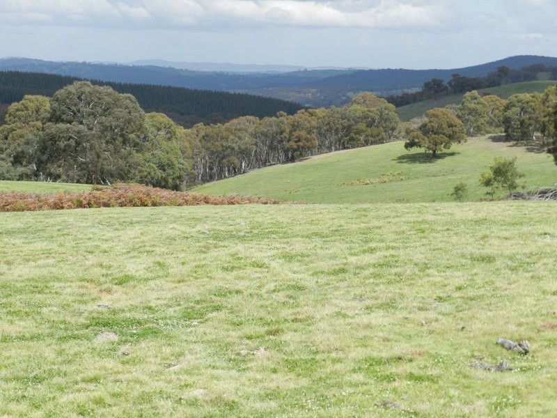 Lot 8 Gurrundah Road, Goulburn NSW 2580