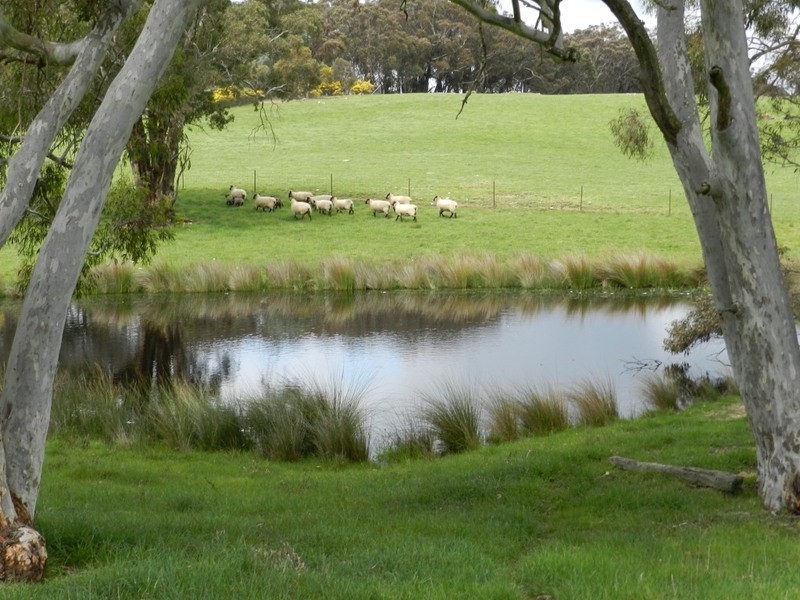 Lot 6 Mullins Creek Road, Breadalbane NSW 2581
