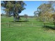 Lot 6 Mullins Creek Road, Breadalbane NSW 2581