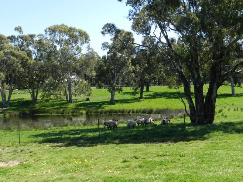 Lot 6 Mullins Creek Road, Breadalbane NSW 2581