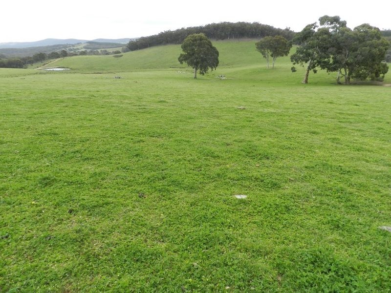 Lot 6 Mullins Creek Road, Breadalbane NSW 2581