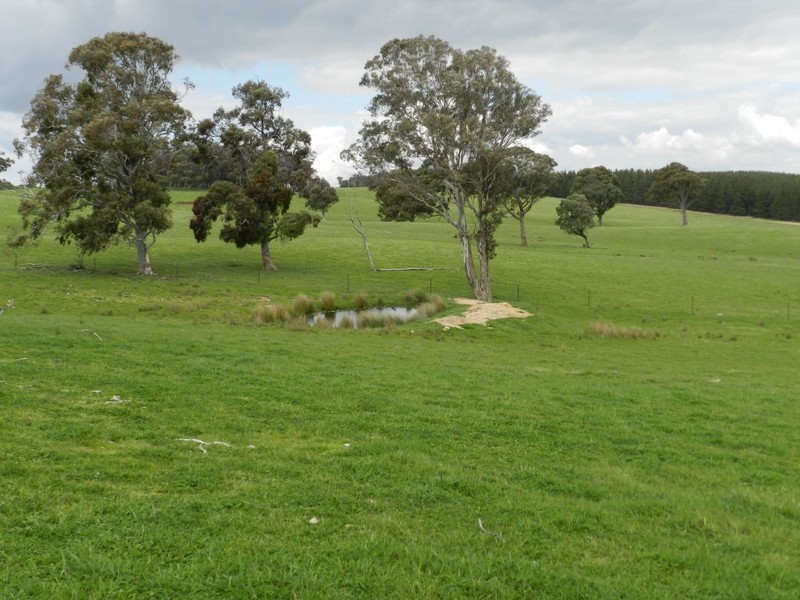 Lot 6 Mullins Creek Road, Breadalbane NSW 2581