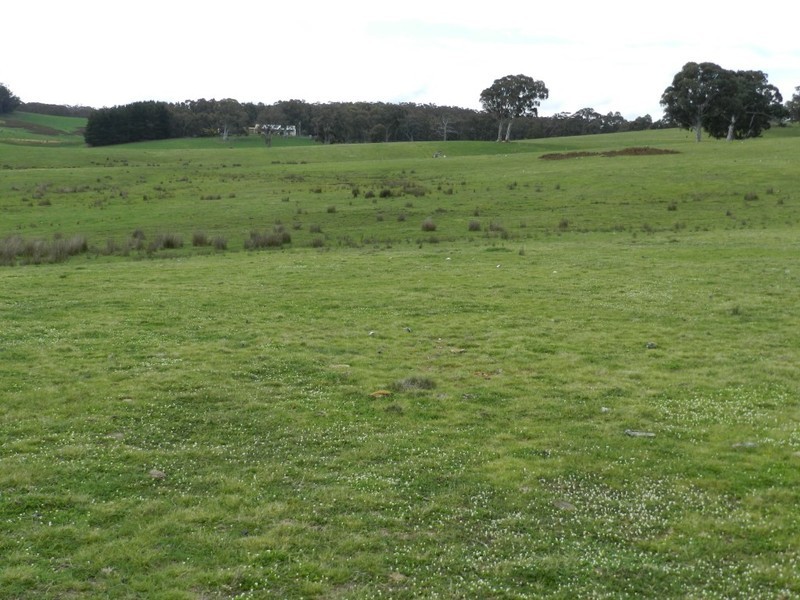 Lot 6 Mullins Creek Road, Breadalbane NSW 2581