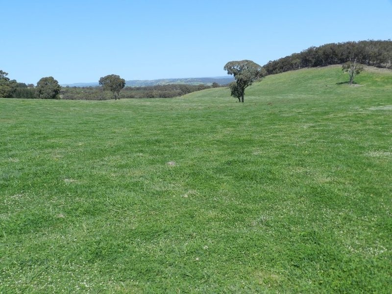 Lot 6 Mullins Creek Road, Breadalbane NSW 2581