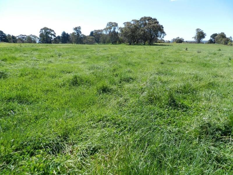 Highfield 7770 Boorowa Road, Crookwell NSW 2583