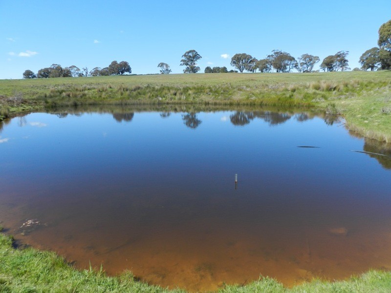 Highfield 7770 Boorowa Road, Crookwell NSW 2583