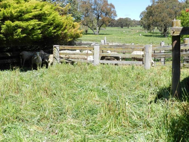 Highfield 7770 Boorowa Road, Crookwell NSW 2583