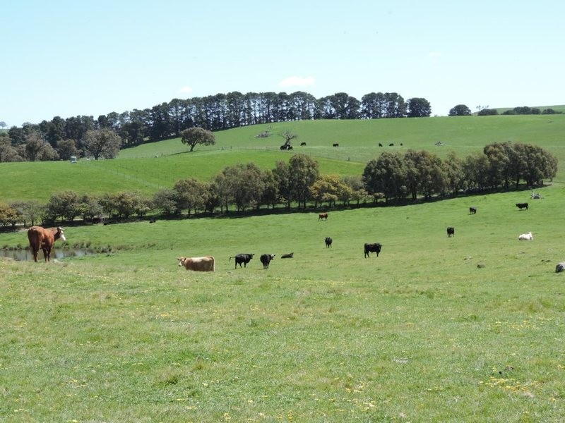 210 Pejar Road, Pejar NSW 2583