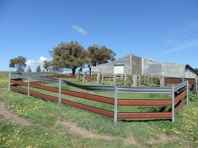 210 Pejar Road, Pejar NSW 2583