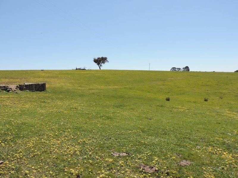 210 Pejar Road, Pejar NSW 2583