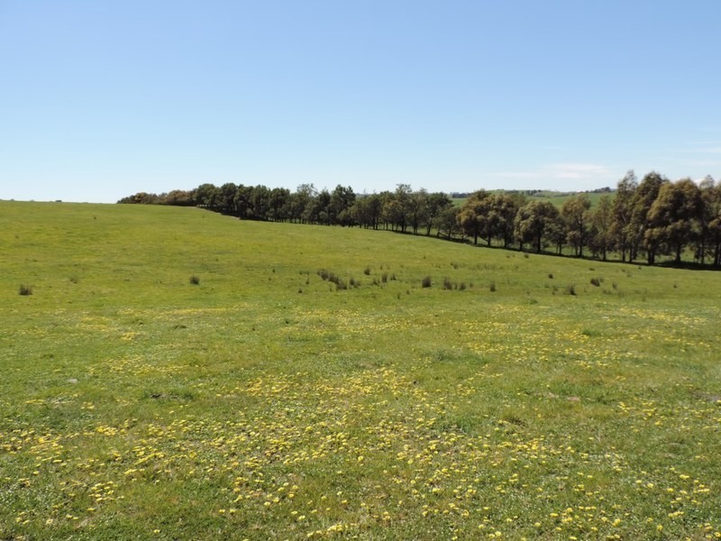 210 Pejar Road, Pejar NSW 2583