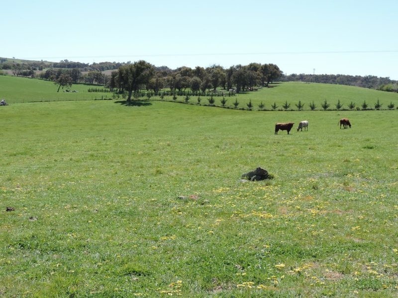 210 Pejar Road, Pejar NSW 2583