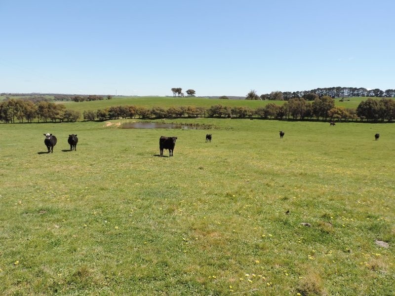 210 Pejar Road, Pejar NSW 2583