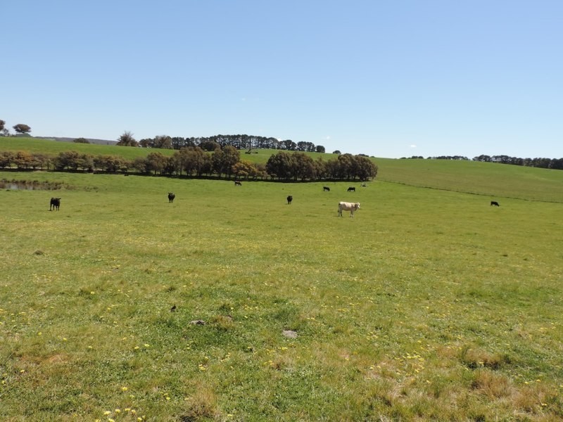 210 Pejar Road, Pejar NSW 2583