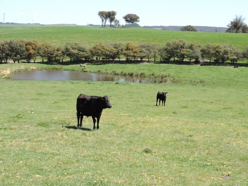 210 Pejar Road, Pejar NSW 2583