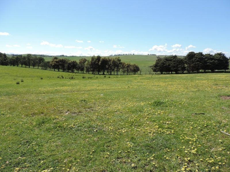 210 Pejar Road, Pejar NSW 2583