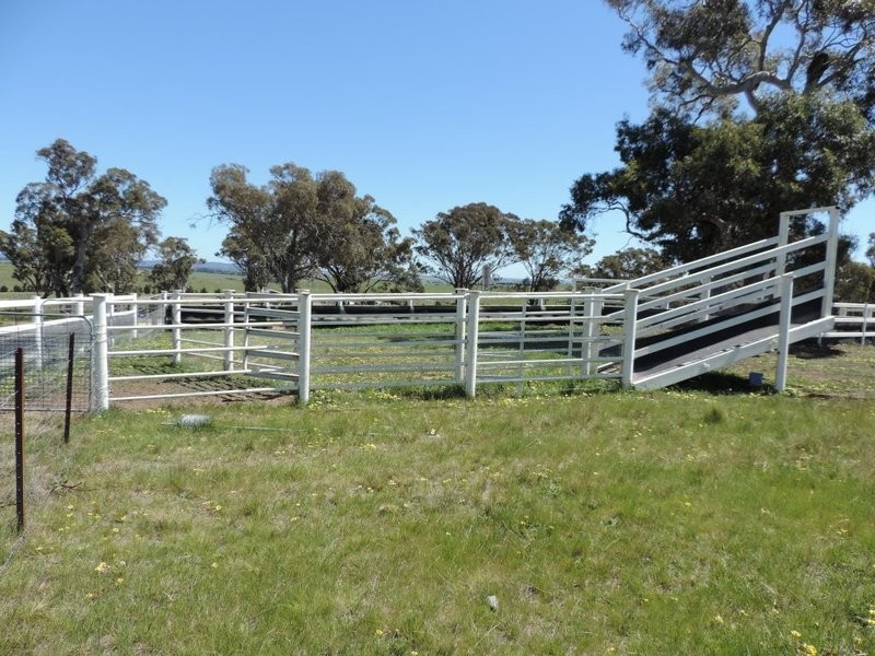 187 Kooringaroo Road, Goulburn NSW 2580