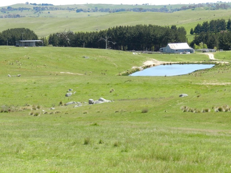1159 Binda Road, Crookwell NSW 2583