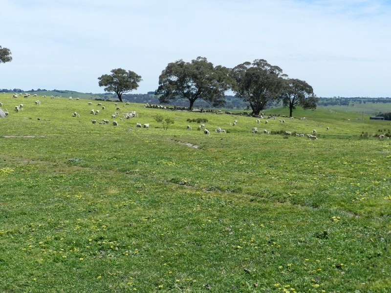1159 Binda Road, Crookwell NSW 2583