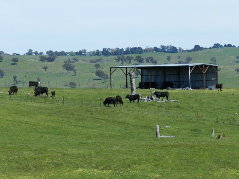 1159 Binda Road, Crookwell NSW 2583