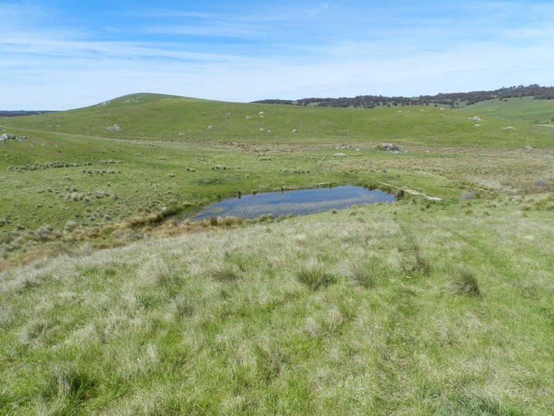 1159 Binda Road, Crookwell NSW 2583