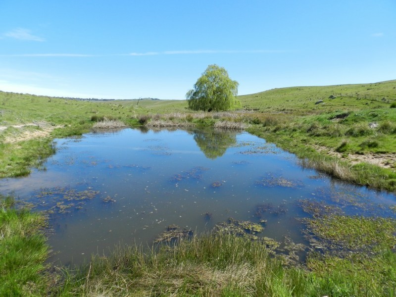 1159 Binda Road, Crookwell NSW 2583